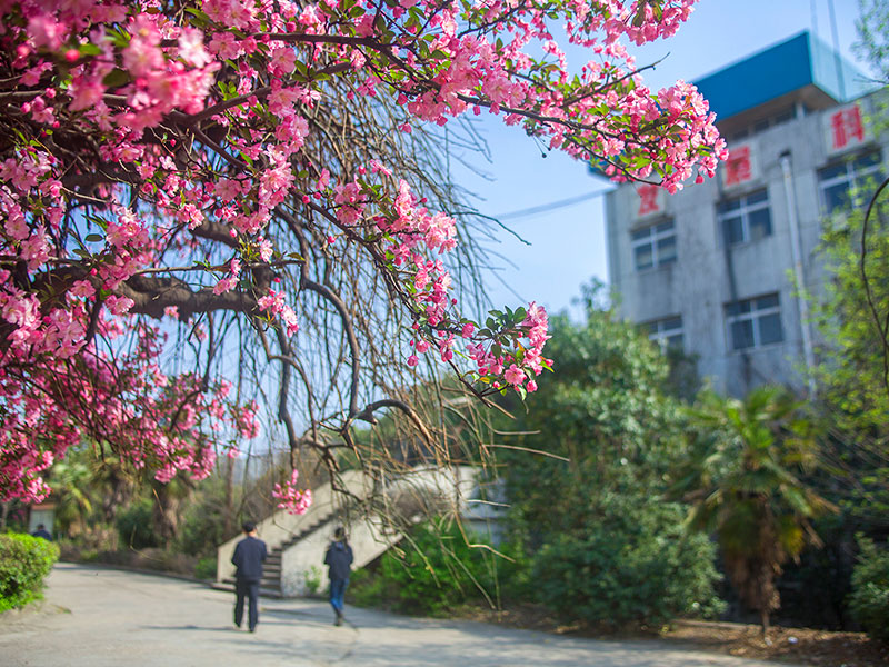 河钢舞钢的发展历程 河钢舞钢的发展历程