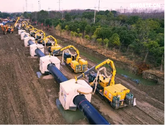 我国重要的能源大通道——中俄东线天然气管道工程于2024年11月18日全线完工。在该项目的建设过程中，舞钢公司供应的X80（D1422毫米×57毫米）管线钢，是目前国内应用在工程项目上厚度、管径、技术难度均实现突破的管线钢。生产该类管线钢，不仅厚度规格以前从来没有尝试过，而且技术条件中的冲击试验温度也由零下30摄氏度降至零下45摄氏度，冲击功值却由70焦耳提升到135焦耳，超出国家标准95焦耳。舞钢公司对钢种成分及生产工艺进行优化，确保了各项指标全部优于客户要求，实现大批量供货。 