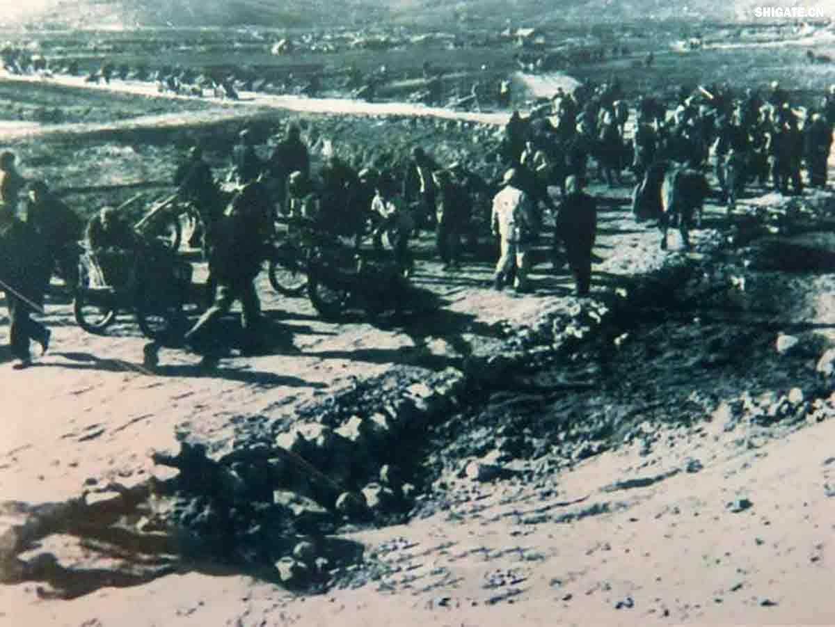 平（平顶山）舞（舞阳）会战