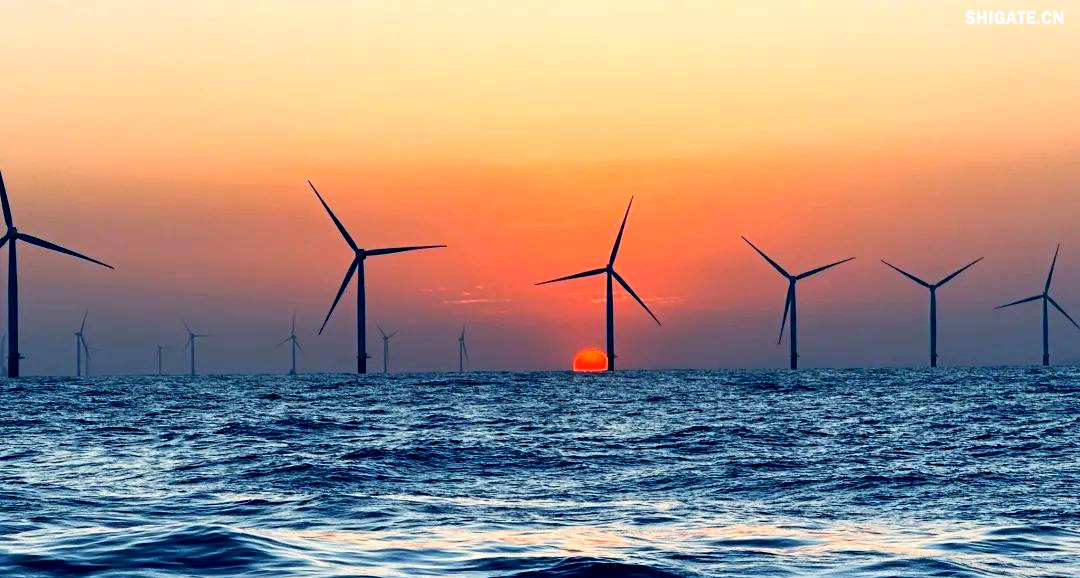 舞钢公司得知大唐南澳勒门I海上风电扩建项目的信息后，迅速组建了一支专门针对该项目的海上风电钢攻关团队。该团队由销售、科技、生产、质量等部门的杰出人才组成，目的是克服该项目钢板单重大、生产难度高的挑战，为营销系统提供全面的支援。团队与设计院、施工单位和业主进行了深入的交流和讨论，针对生产过程中遇到的难题，与相关方进行了多轮讨论，并制定了专门的生产技术方案，以加快交货速度，满足施工需求，节约施工成本，最终赢得了客户的认可。在生产过程中，舞钢公司精心组织，全力以赴推进合同生产，确保了订单的高质量和及时交付，为项目的建设提供了坚强的支持。